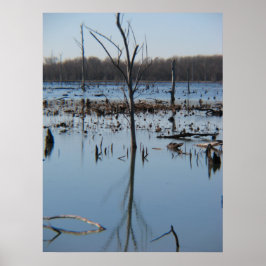 Begreppet relavböjning poster