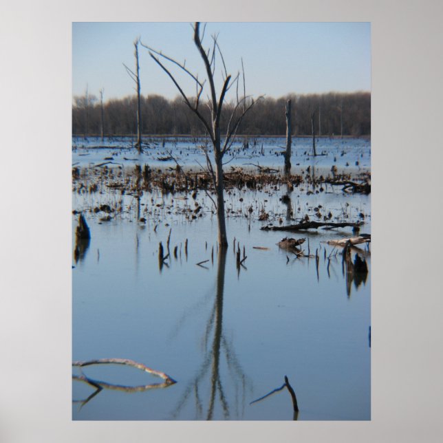 Begreppet relavböjning poster (Framsidan)