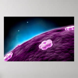 Begreppsmässigt avbilda av cellNucleus Poster