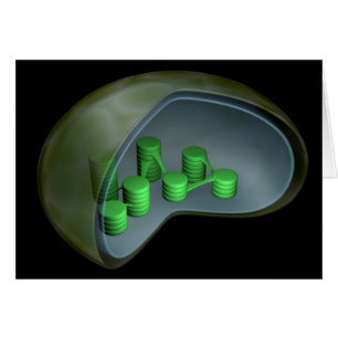Begreppsmässigt avbilda av Chloroplast 1 Hälsningskort