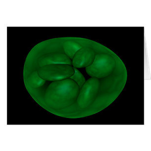 Begreppsmässigt avbilda av Chloroplast 2 Hälsningskort