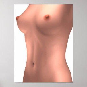 Begreppsmässigt avbilda av den kvinnliga torsoen poster