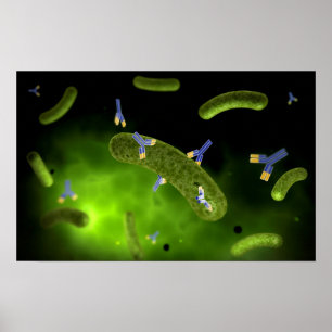 Begreppsmässigt avbilda av dödande bakterier fö poster