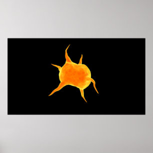 Begreppsmässigt avbilda av en Platelet Poster