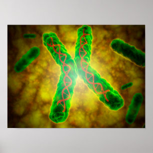 Begreppsmässigt avbilda av en Telomere Poster