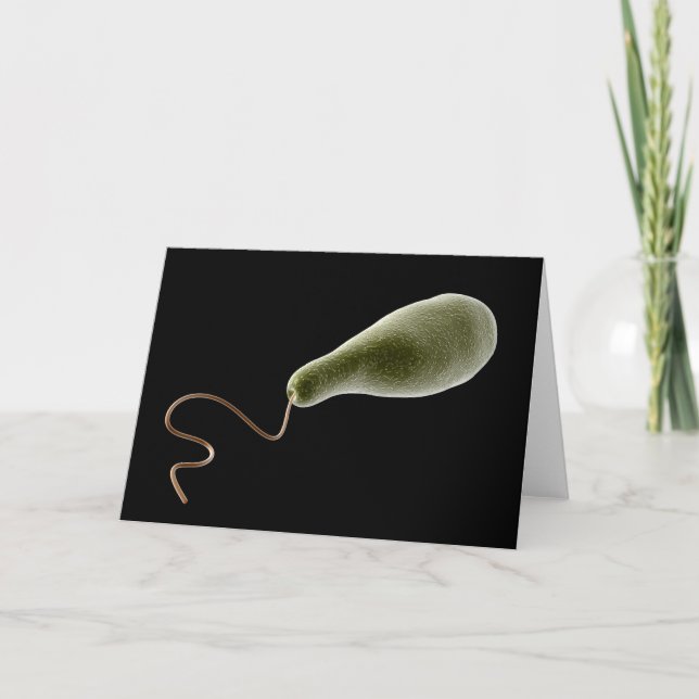 Begreppsmässigt avbilda av Euglena 2 Kort (Framsida)