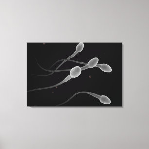 Begreppsmässigt avbilda av Male sperma Canvastryck
