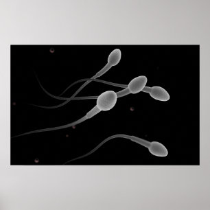 Begreppsmässigt avbilda av Male sperma Poster