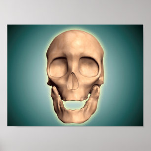 Begreppsmässigt avbilda av människaskallen, bekl poster