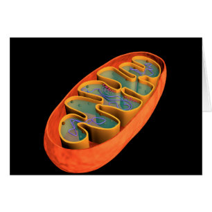Begreppsmässigt avbilda av Mitochondria 3 Hälsningskort