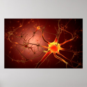 Begreppsmässigt avbilda av Neuron 1 Poster