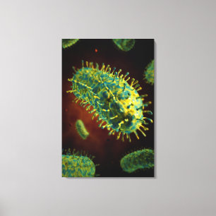 Begreppsmässigt avbilda av Rabiesvirus 1 Canvastryck