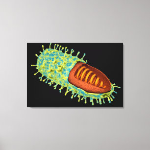 Begreppsmässigt avbilda av Rabiesvirus 3 Canvastryck
