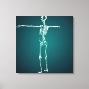 Begreppsmässigt avbilda av Skeletal system för Canvastryck