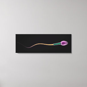 Begreppsmässigt avbilda av spermaanatomi canvastryck