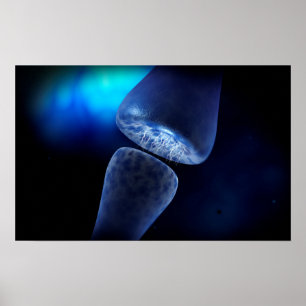 Begreppsmässigt avbilda av Synapse av Neuroninsid Poster