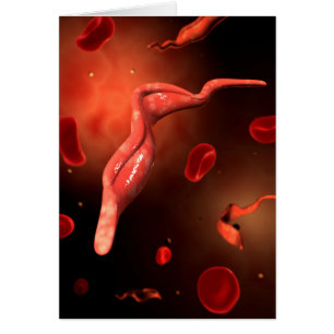 Begreppsmässigt avbilda av Trypanosoma 1 Hälsningskort