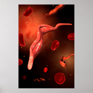 Begreppsmässigt avbilda av Trypanosoma 1 Poster