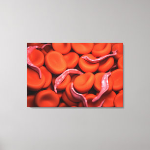 Begreppsmässigt avbilda av Trypanosoma 3 Canvastryck