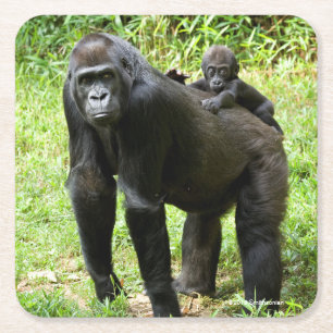 Begynna Lowlandgorilla på mödrarbaksida Underlägg Papper Kvadrat