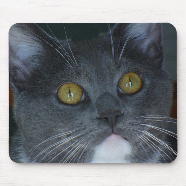 Behaga Musmatta (Framsidan)