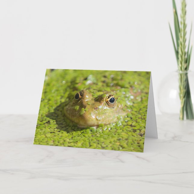 Behåll coola kort (Framsida)