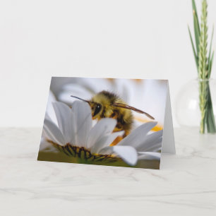 Behåll i Daisy - Tack för ett fint Daisy Kort