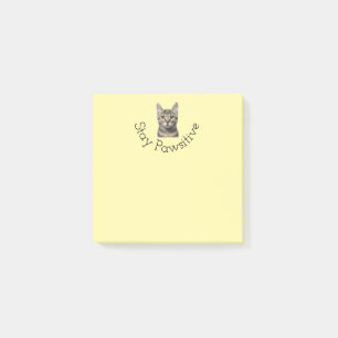 Behåll klämmande katt efter det att den har anteck post-it block