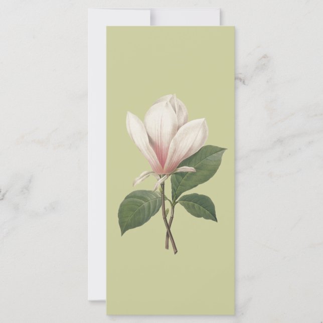 Behåll lugnet och läs vidare, magnolia blomma bokm (Framsida)