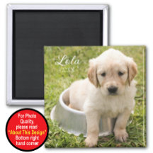 Behåll magnet med foto