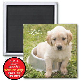 Behåll magnet med foto