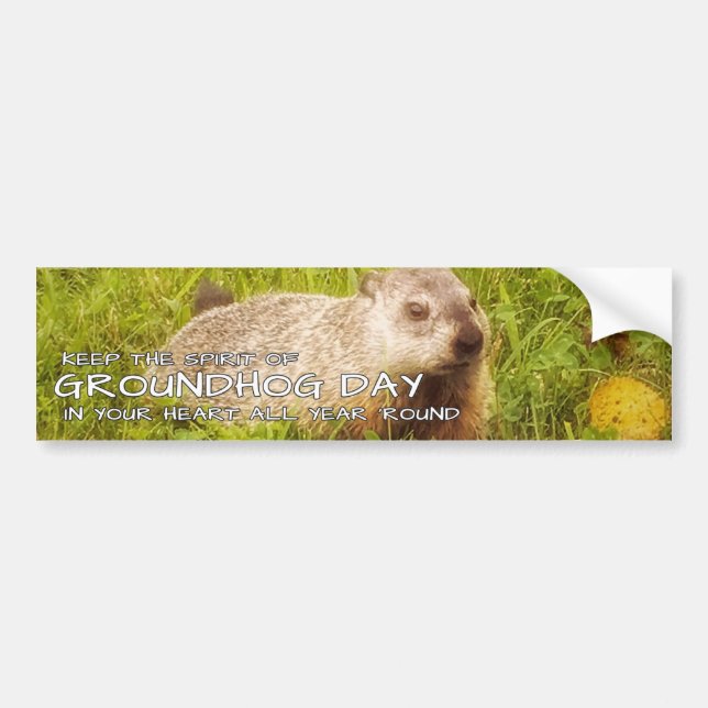 Behålla av stötfångarens självhäftande dekal på Gr (Framsidan)