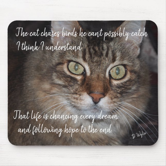 Behålla Chasing Dreams Musmatta (Framsidan)