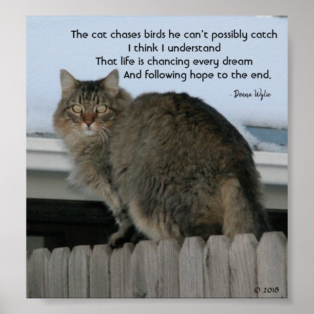 Behålla Chasing Dreams Poster (Framsidan)