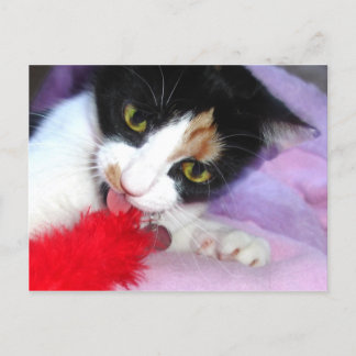 Behålla det rent! vykort