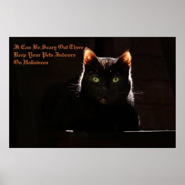 Behålla dina husdjur inomhus poster (Framsidan)