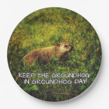 Behålla Groundhog i Groundhog Day-plattan
