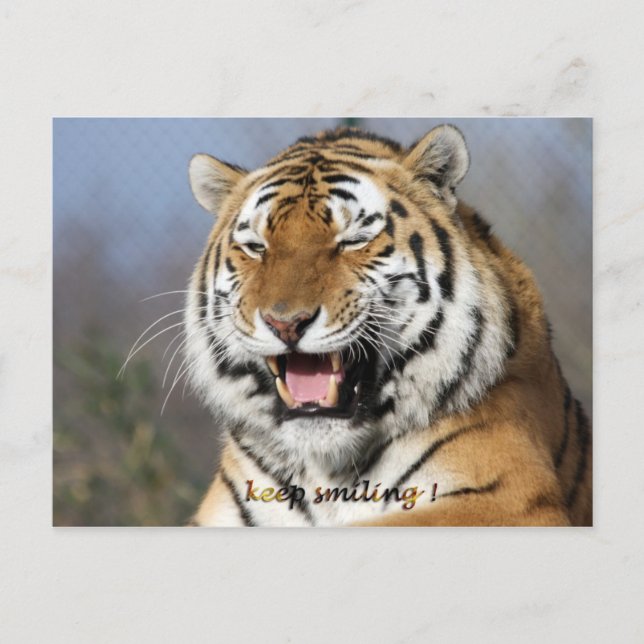 behålla leende vykort (Framsida)