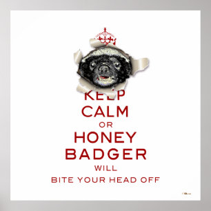 Behålla Lugn eller Honey badger.. Poster
