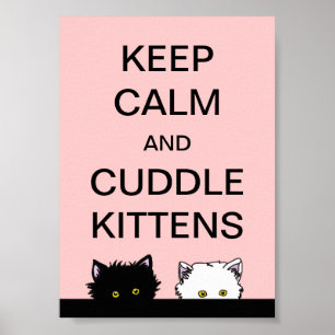Behålla Lugn Kittens Poster