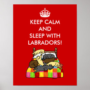 Behålla Lugn Labradors Poster