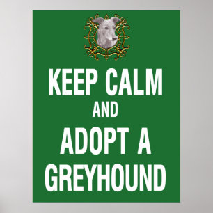 Behålla Lugn och anta ett greyhound Poster