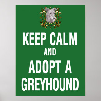 Behålla Lugn och anta ett greyhound Poster