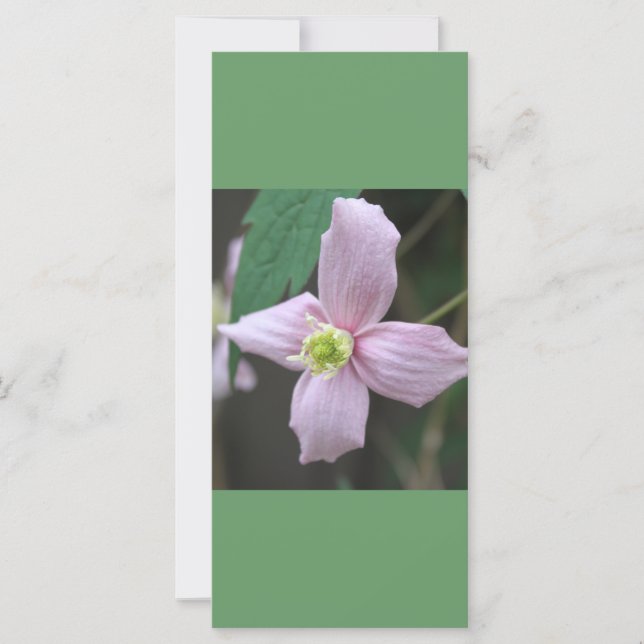 behålla lugn och avläsning, rosa trädgårdsblomma (Framsida)