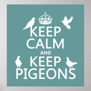 Behålla Lugn och Behålla Pigeons - alla färg Poster