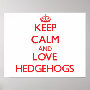 Behålla lugn och kärlek Hedgehogs Poster