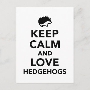 Behålla lugn och kärlek hedgehogs vykort