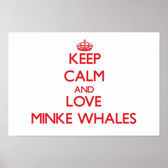 Behålla lugn och kärlek Minke Whales Poster (Framsidan)