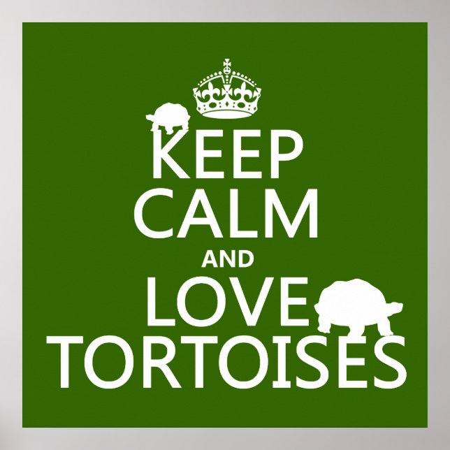 Behålla Lugn och Kärlek Tortoises (oavsett färg) Poster (Framsidan)