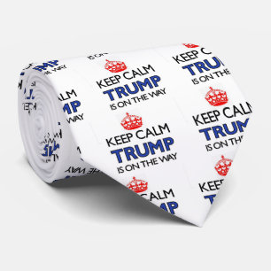 Behålla Lugn TRUMP Slips